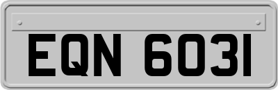 EQN6031