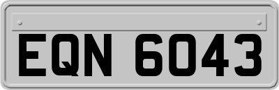 EQN6043