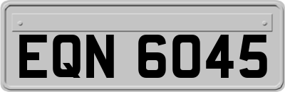 EQN6045