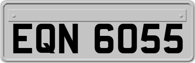 EQN6055