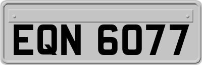 EQN6077