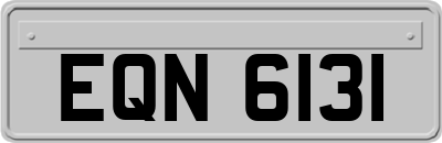 EQN6131