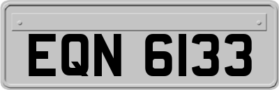 EQN6133