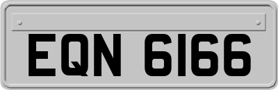 EQN6166