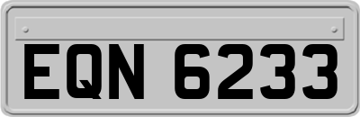 EQN6233