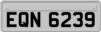EQN6239