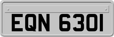 EQN6301