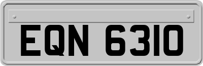 EQN6310