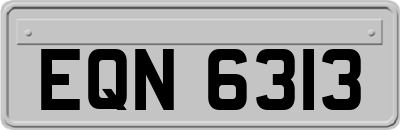 EQN6313
