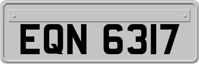 EQN6317