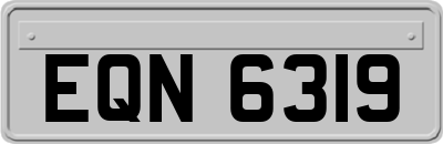 EQN6319