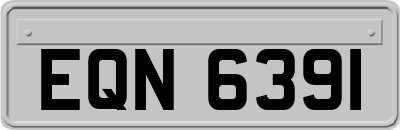 EQN6391