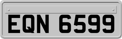 EQN6599