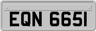 EQN6651