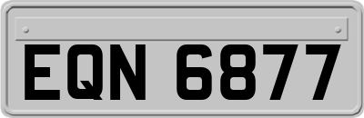 EQN6877