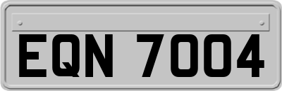 EQN7004