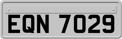 EQN7029
