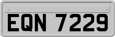 EQN7229
