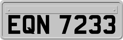 EQN7233