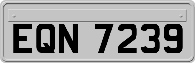 EQN7239