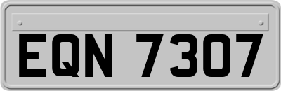 EQN7307