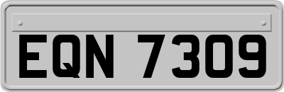 EQN7309