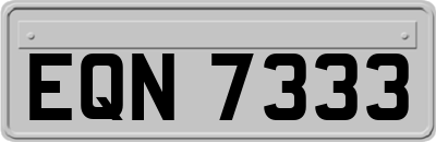 EQN7333