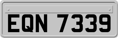 EQN7339