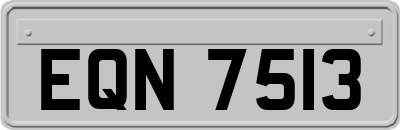 EQN7513