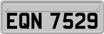 EQN7529
