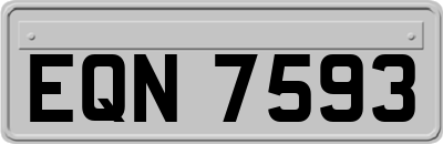 EQN7593