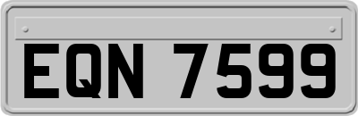 EQN7599