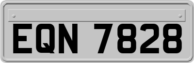 EQN7828