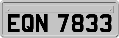EQN7833