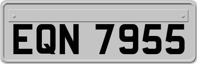 EQN7955