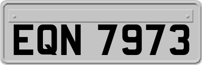 EQN7973