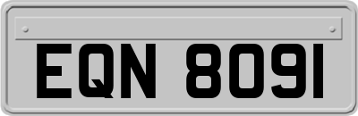 EQN8091
