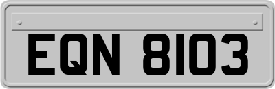 EQN8103