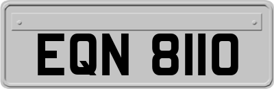 EQN8110