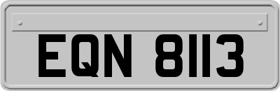 EQN8113