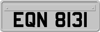 EQN8131