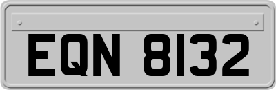 EQN8132