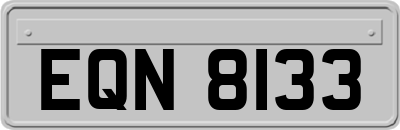 EQN8133