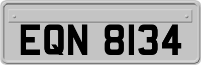 EQN8134
