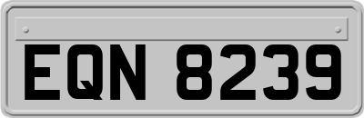 EQN8239