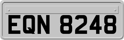 EQN8248