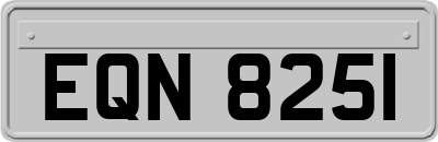 EQN8251