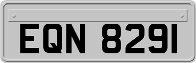 EQN8291