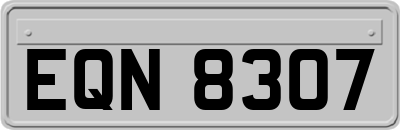 EQN8307