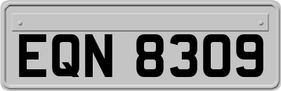EQN8309